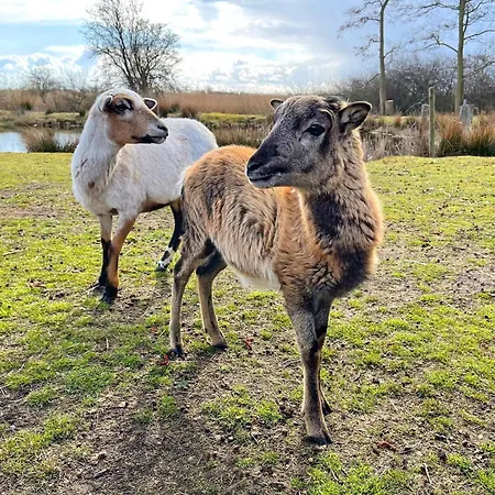 Pamir Teichhof Fehmarn 公寓 Wenkendorf