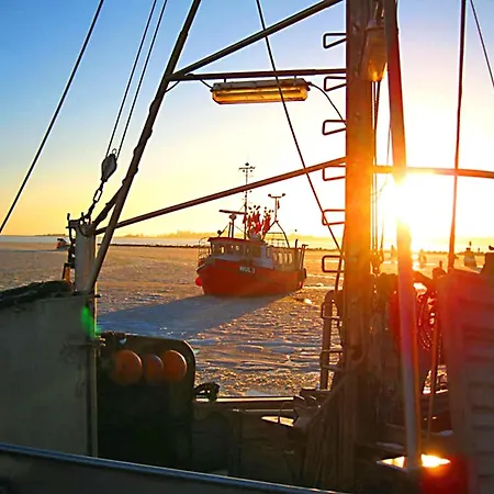 Pamir Teichhof Fehmarn Wenkendorf