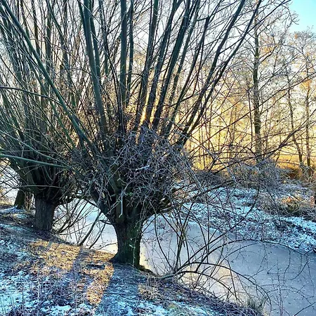 Lejlighed Pamir Teichhof Fehmarn