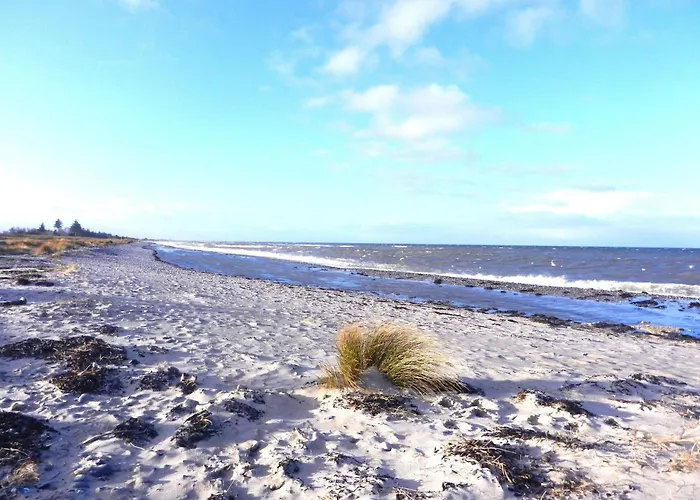 Pamir Teichhof Fehmarn Lägenhet
