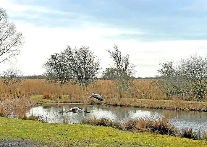 Lägenhet Pamir Teichhof Fehmarn Wenkendorf
