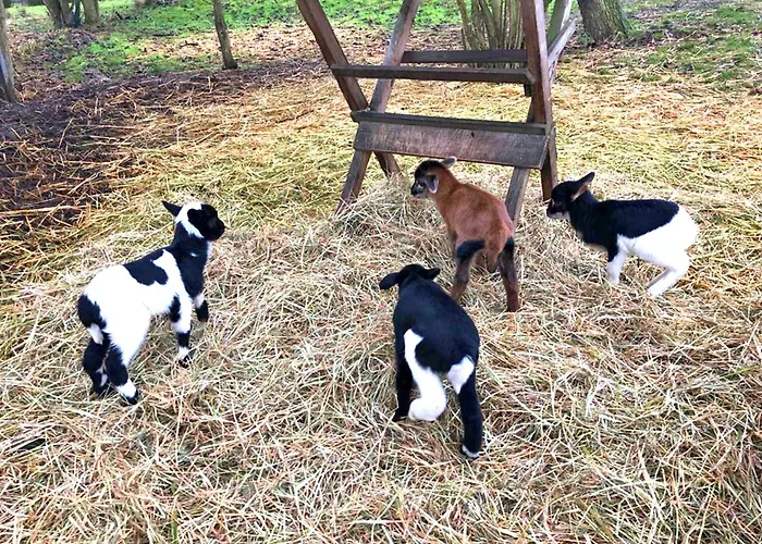Lägenhet Pamir Teichhof Fehmarn *