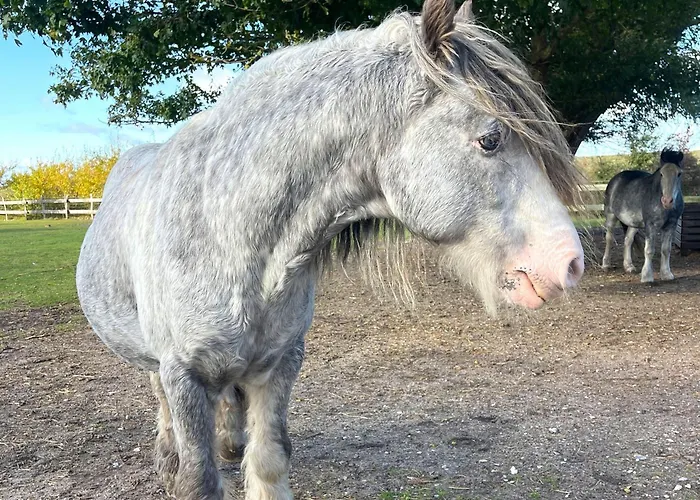 Pamir Teichhof Fehmarn *