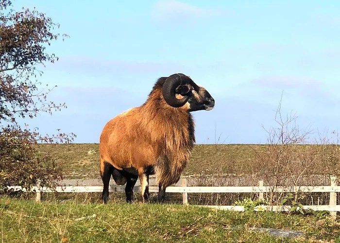 Lägenhet Pamir Teichhof Fehmarn