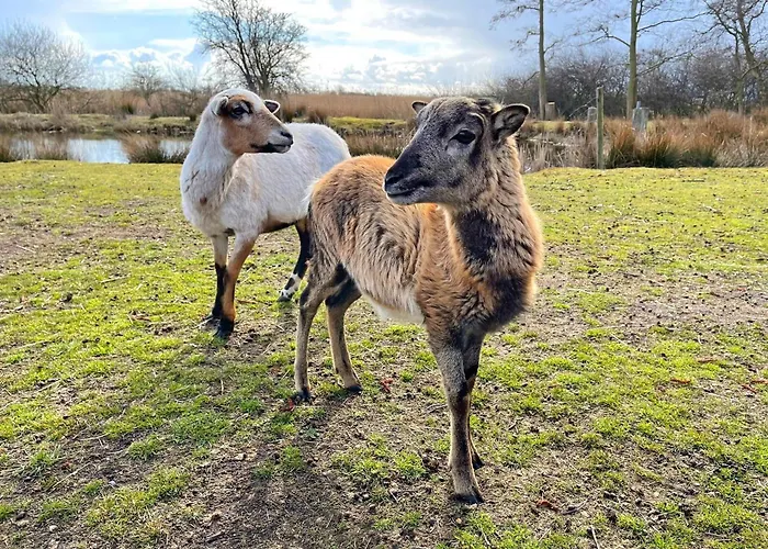 Pamir Teichhof Fehmarn Lägenhet Wenkendorf