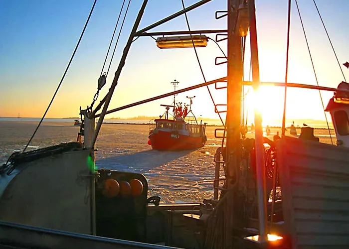 Pamir Teichhof Fehmarn Wenkendorf